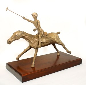 Polo Fury 3, 2016 (website image)