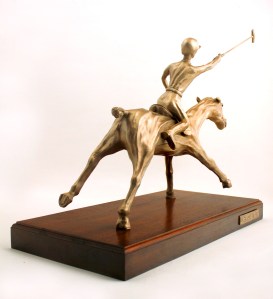 Polo Fury 4, 2016 (website image)